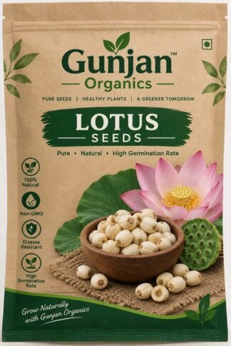Lotus Seeds