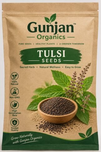 Tulsi Seeds (Holy Basil)